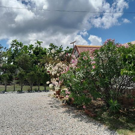 Le Diamant Charmante Villa Pour La Famille Ou Entre Amis Spa Et Piscine Exteriér fotografie